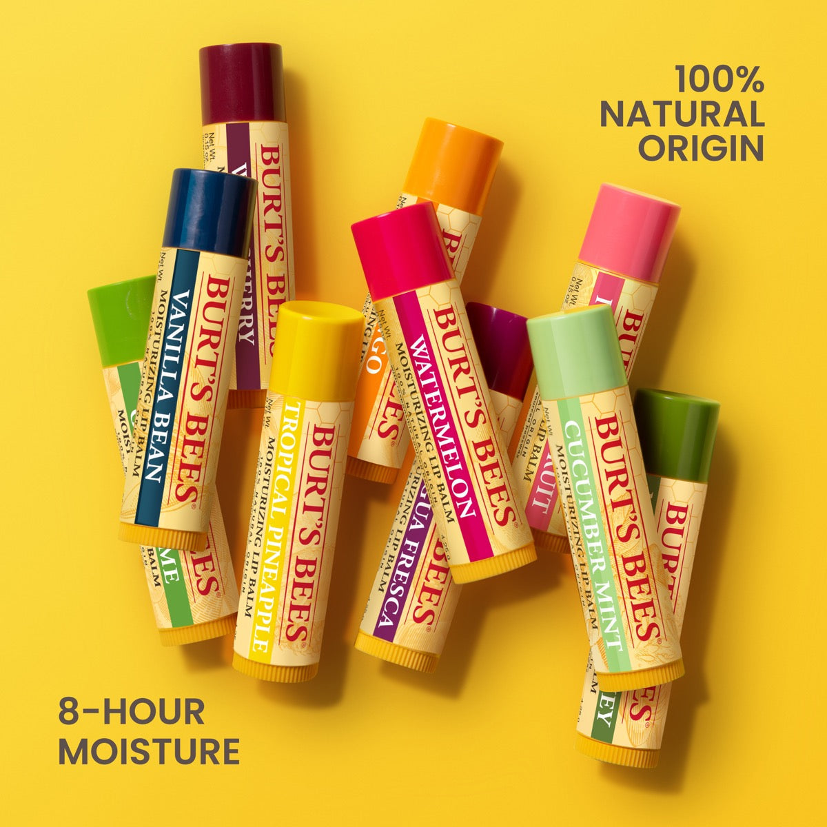 Vanilla Bean Lip Balm9z