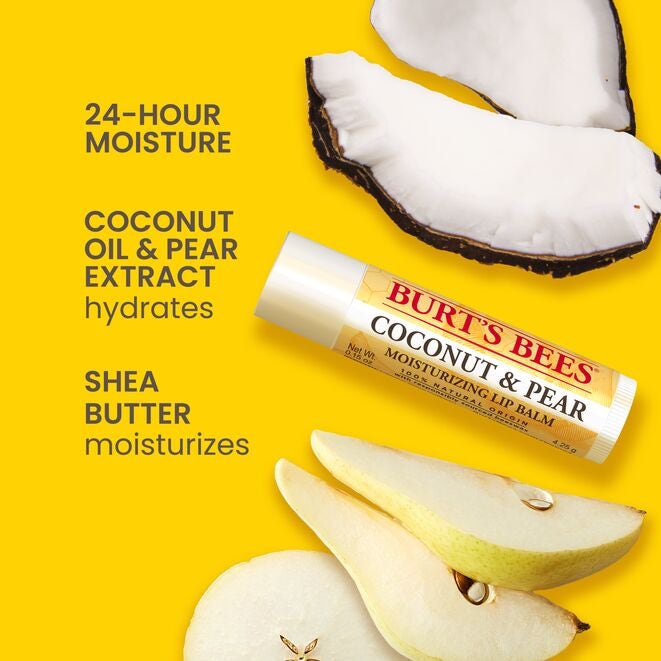 Best of Burt's Lip Balm 4-Packzw