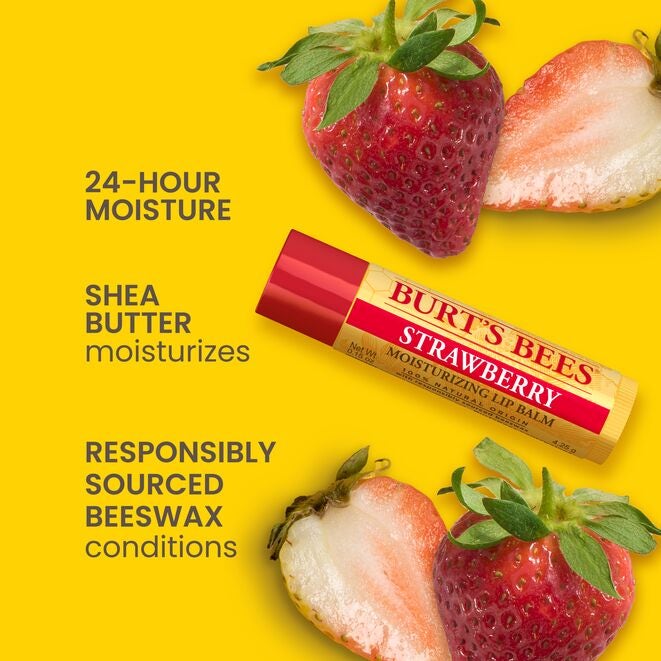 Best of Burt's Lip Balm 4-Packzw