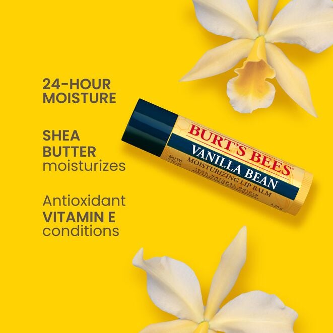 Best of Burt's Lip Balm 4-Packzw