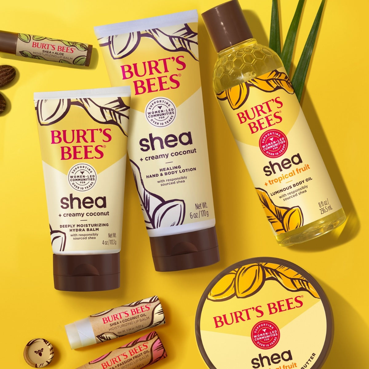 Shea + Coconut Oil Moisturizing Lip Balmsm