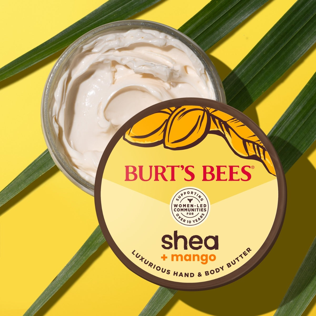 Shea + Mango Hand & Body Butter81